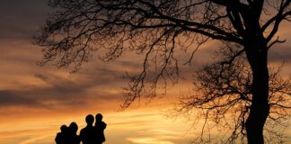 Ile można wyciągnąć z opieki społecznej?