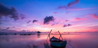 Jak przywrócić kolor czarnym rzeczom?