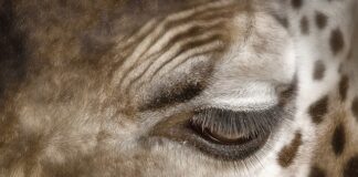 Jak pozbyć się plam na białych ubraniach?