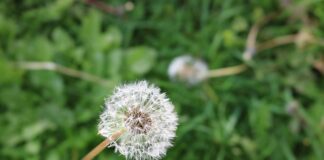 Gdzie kupić neutralizator zapachów? Gdzie kupić neutralizator zapachów?