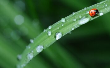 Jak odświeżyć pościel bez prania?