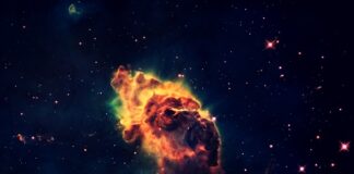 Czym się różni gaza jałowa od Niejałowej?