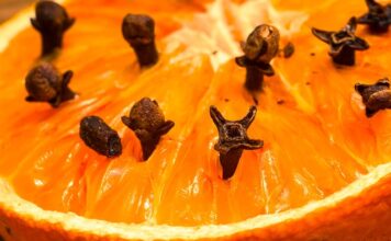 Jaki odświeżacz powietrza do domu?