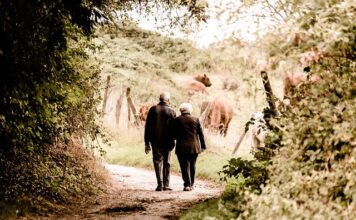 Czy emerytury stażowe wejdą w 2023 roku?