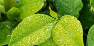 Czemu w domu śmierdzi wilgocią?