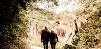 Z czego wylicza się emeryturę?