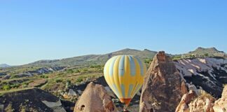 Jaki kolor ma martwicą?