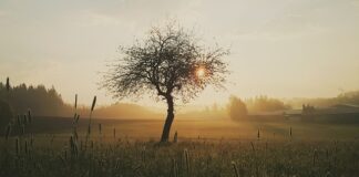 Co zrobić żeby gaza nie przykleja się do rany?