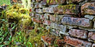 Jaki procent małżeństw się rozpada?