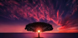 Jak daleko jest z Rzymu do morza?