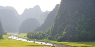 Czy ikano Bank sprawdza BIK?