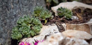 Jak usunąć tłuste plamy z kolorowych ubrań?