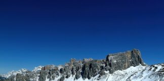 Czy nawóz kurzy nadaje się pod ogórki?