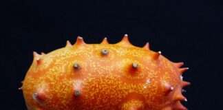 Na co jest dobry ogórek?