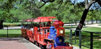 Czy żona dziedziczy majątek osobisty męża?