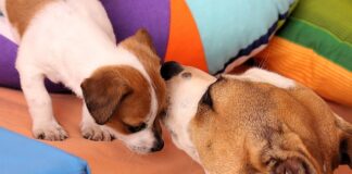 Co zrobić żeby nie śmierdzieć?