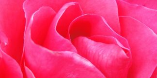 Jak pozbyć się zacieków z ubrań?