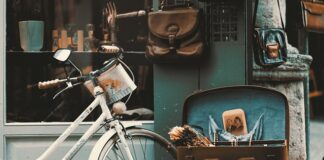 Czy do sklepu Agata Meble można wejść z psem?