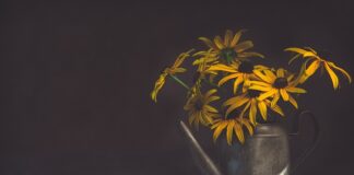 Czy zapach potu zmienia się z wiekiem?