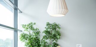 Jaki bank udziela rat w IKEA?