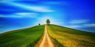 Czy chodzenie jest dobre na stawy?