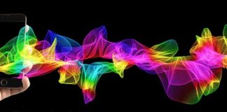 Czy lin bierze po deszczu?