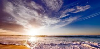 Jaka pianka do woblerów?