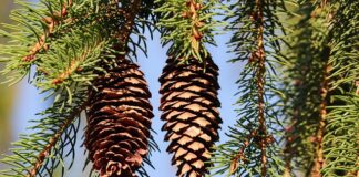 Jak zrobić wiatę na rowery?