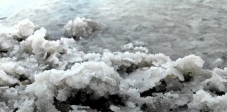 Czy można brać magnez z witaminą D?