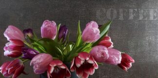 Do czego służą sprężyny w tarczy sprzęgła?