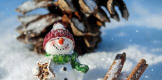 Czy czapka chroni zatoki?