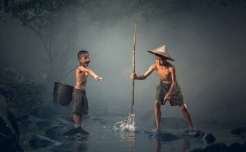 Co ma ryba skrzela czy oskrzela?