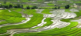 Jak nalać wodę do opony?