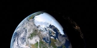 Jak jest biła po angielsku?