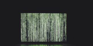 Jakie wiązania do nart zjazdowych?