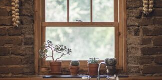 Czy na czosnek biorą ryby?