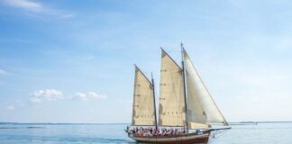 Jaki żagiel do Supa?