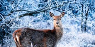 Gdzie w zimie na windsurfing?