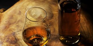 Co to jest single speed?