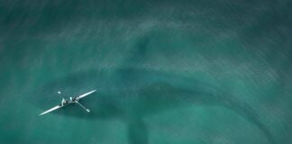 Jak się atakuje w lolu?