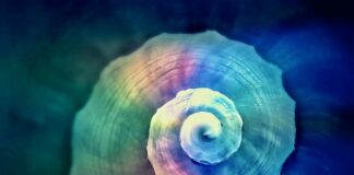 Jak skręcać na wrotkach?