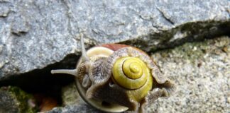 Jak wkręcić śrubę w blachę?