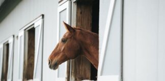 Jaka Łódka jest stabilna?