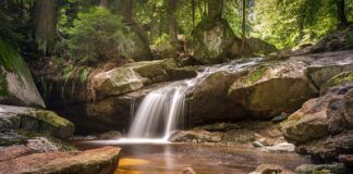 Jaka najlepsza żywica do drewna?