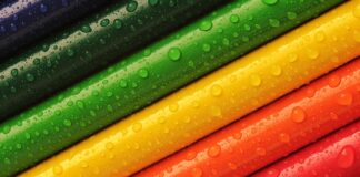 Jaki trapez wybrać?