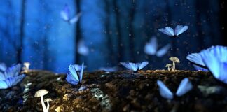 Jakie wkręty do drewna twardego?