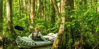 Czy spływy kajakowe są bezpieczne?