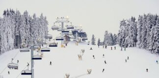 Jaki rozstaw nóg na snowboardzie?