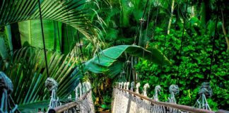 Co to jest kurs pełny?