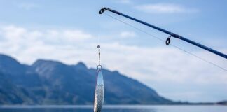 Czy haczyk powinien leżeć na dnie?